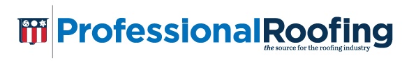Professional Roofing Logo