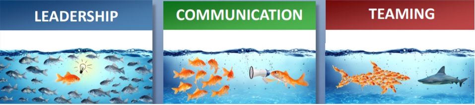 Three photos of fish representing leadership, communication, teaming